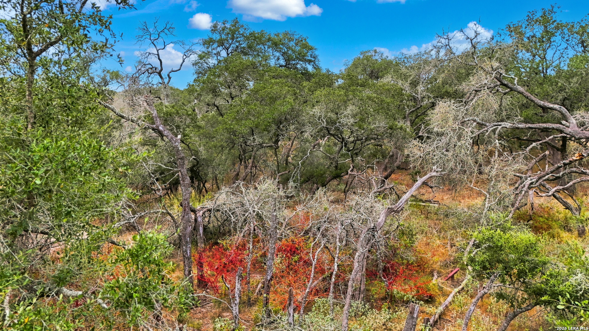 319 Fleetwood Lane Adkins TX 78101