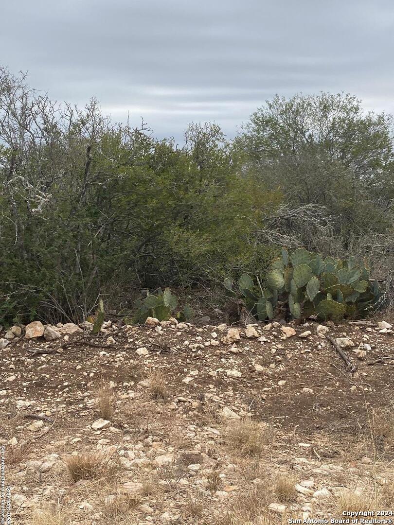 644 Legend Hills Road Uvalde TX 78801