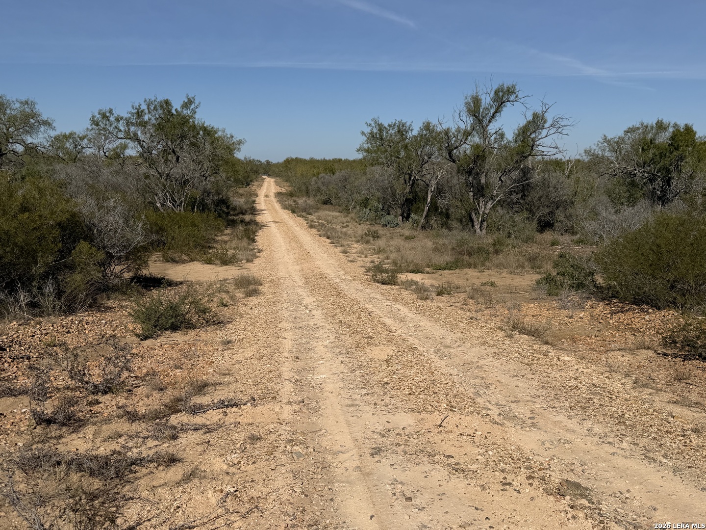 Tbd Cr 2537/moore Hollow Road Moore TX 78057