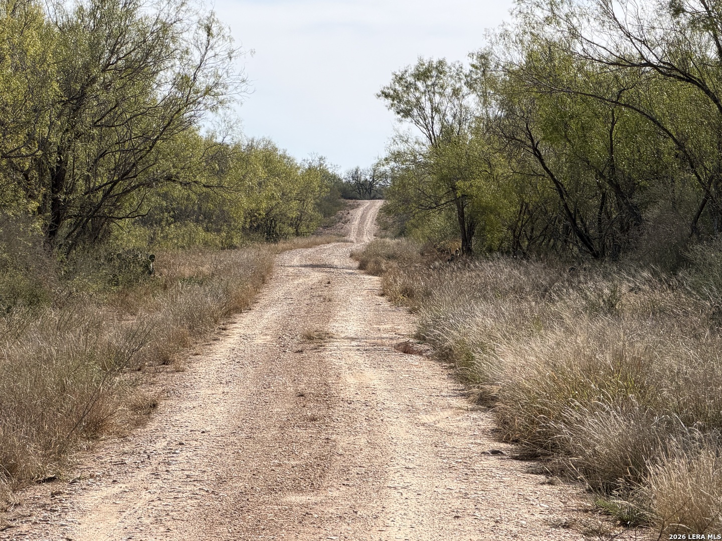 Tbd Cr 2537/moore Hollow Road Moore TX 78057