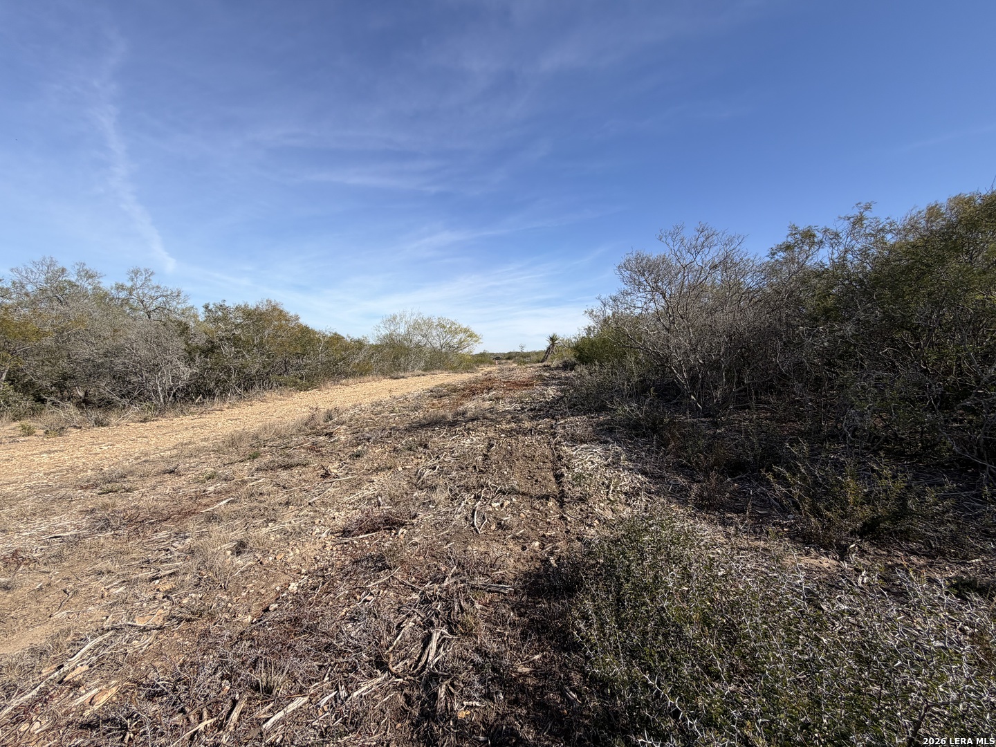 Tbd Cr 2537/moore Hollow Road Moore TX 78057