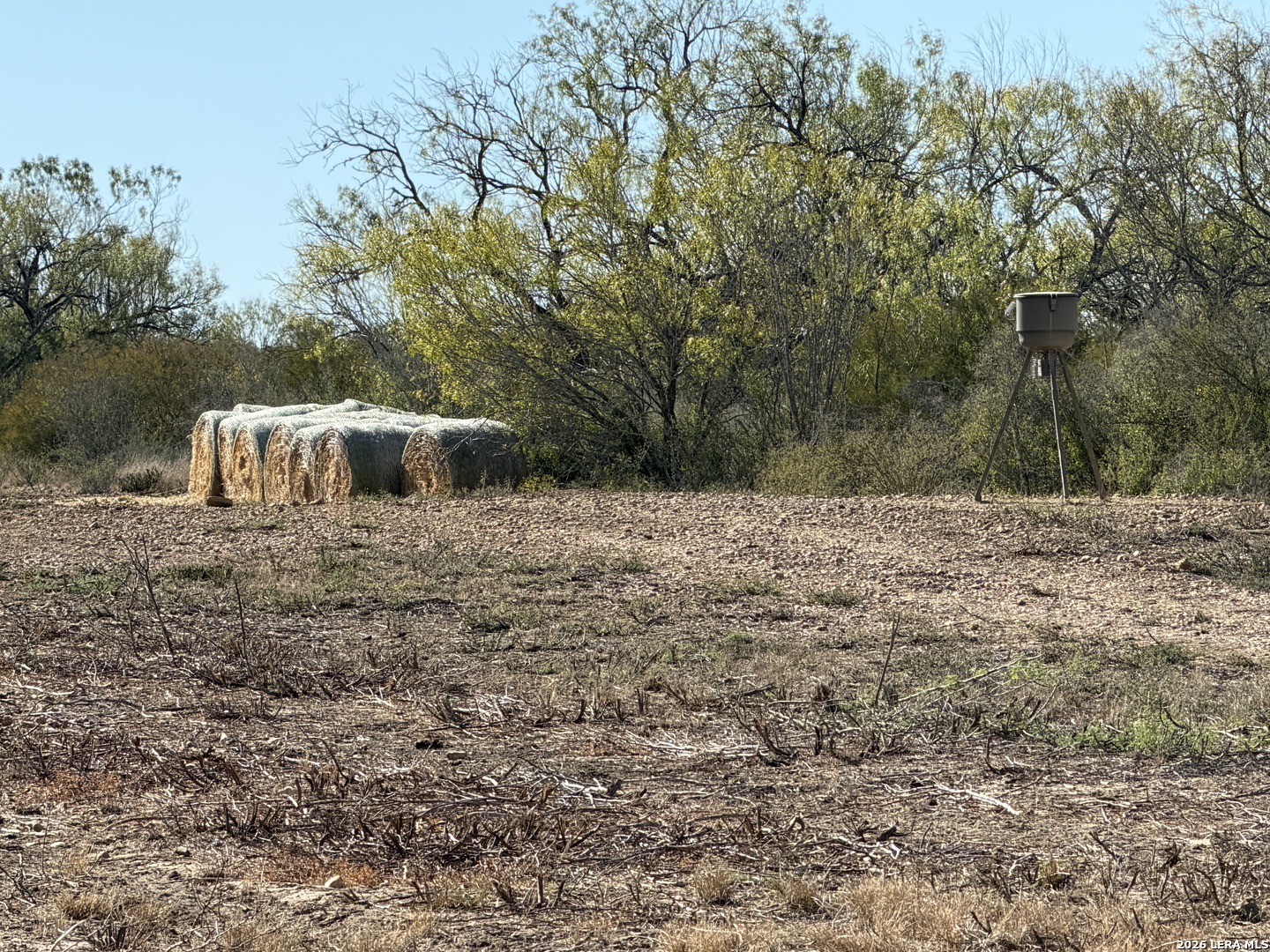 Tbd Cr 2537/moore Hollow Road Moore TX 78057