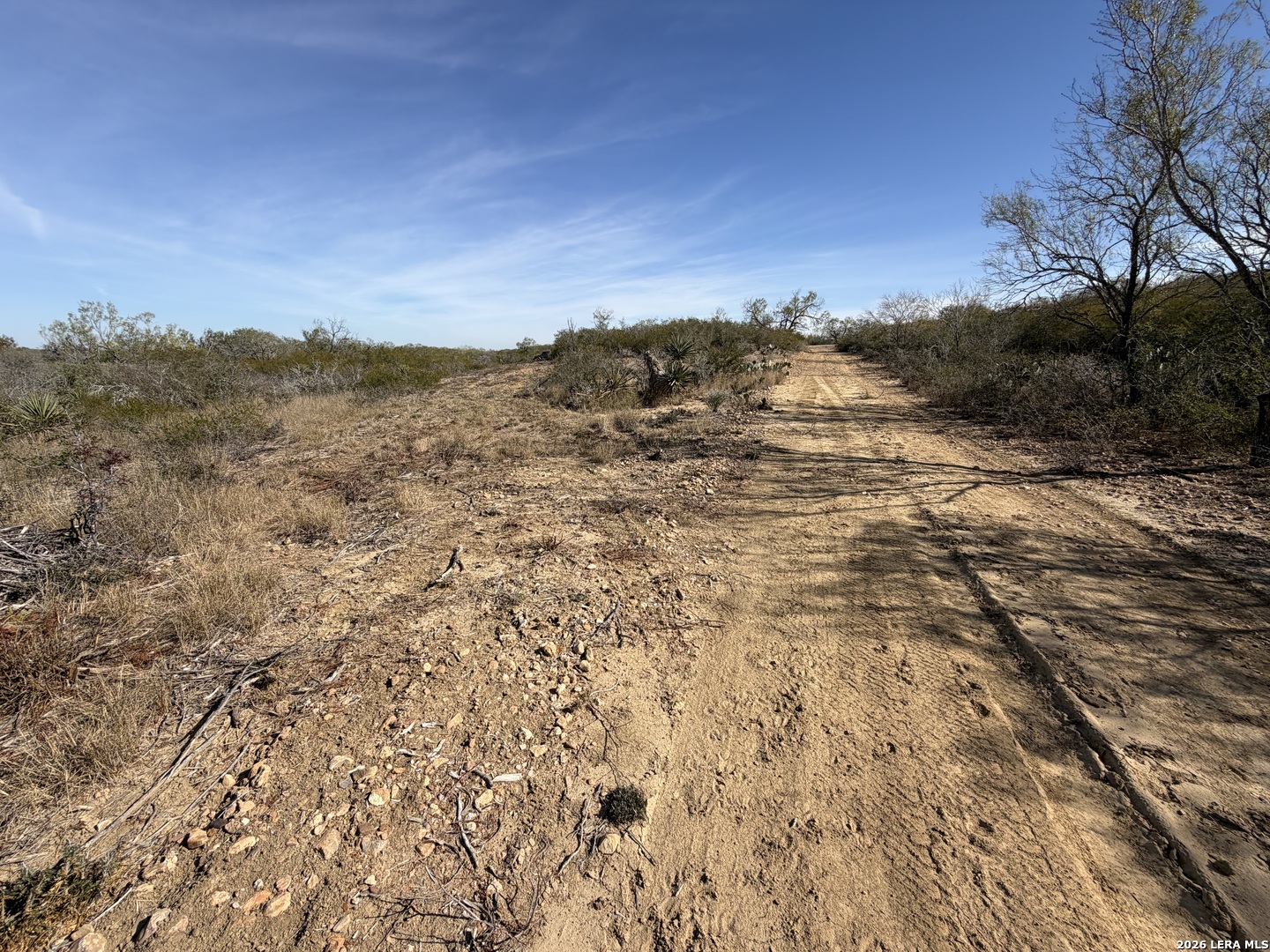 Tbd Cr 2537/moore Hollow Road Moore TX 78057