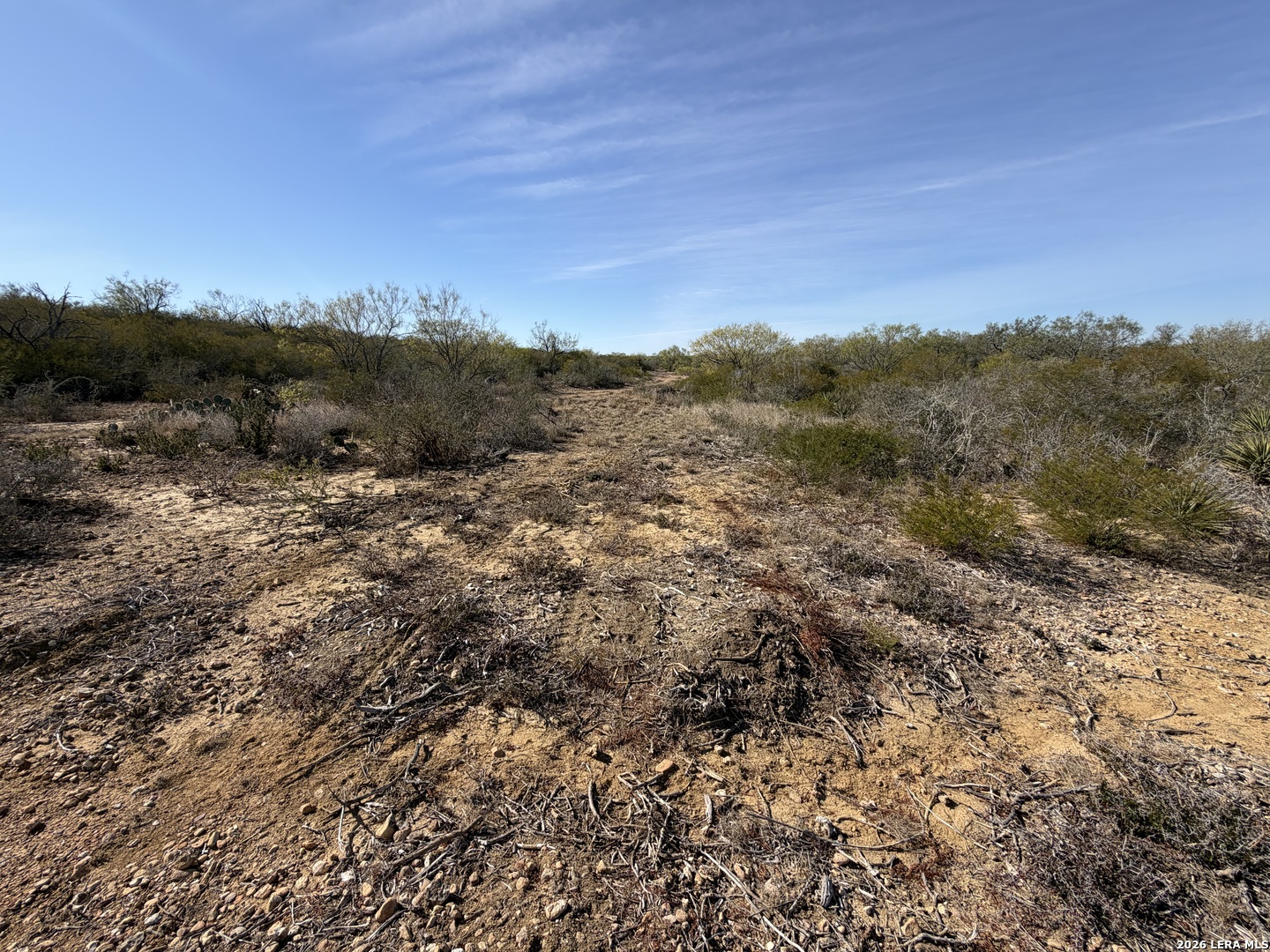 Tbd Cr 2537/moore Hollow Road Moore TX 78057
