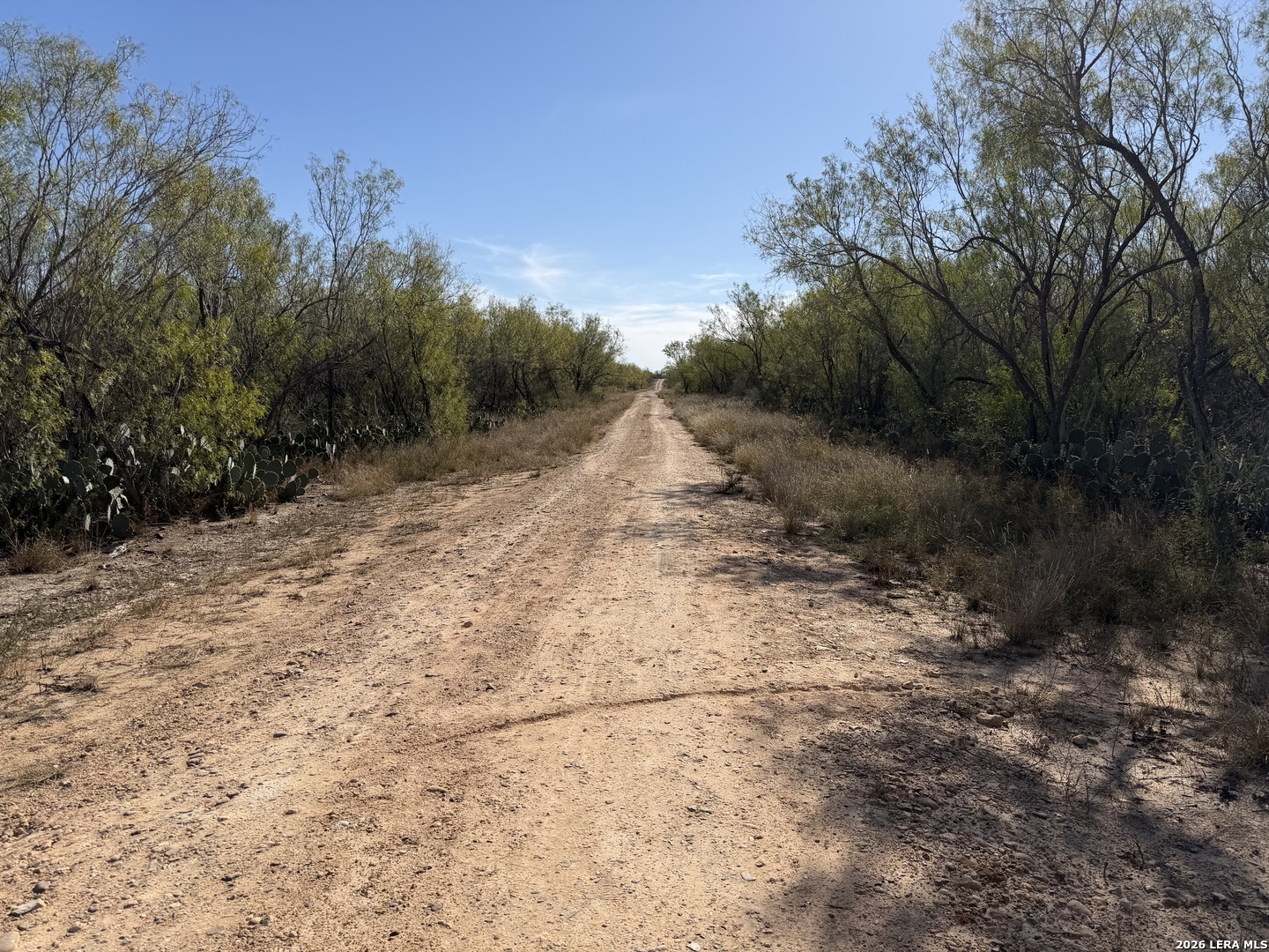 Tbd Cr 2537/moore Hollow Road Moore TX 78057