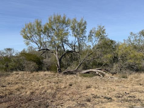 Tbd Cr 2537/moore Hollow Road Moore TX 78057
