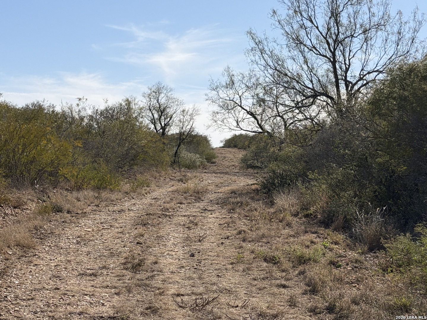 Tbd Cr 2537/moore Hollow Road Moore TX 78057