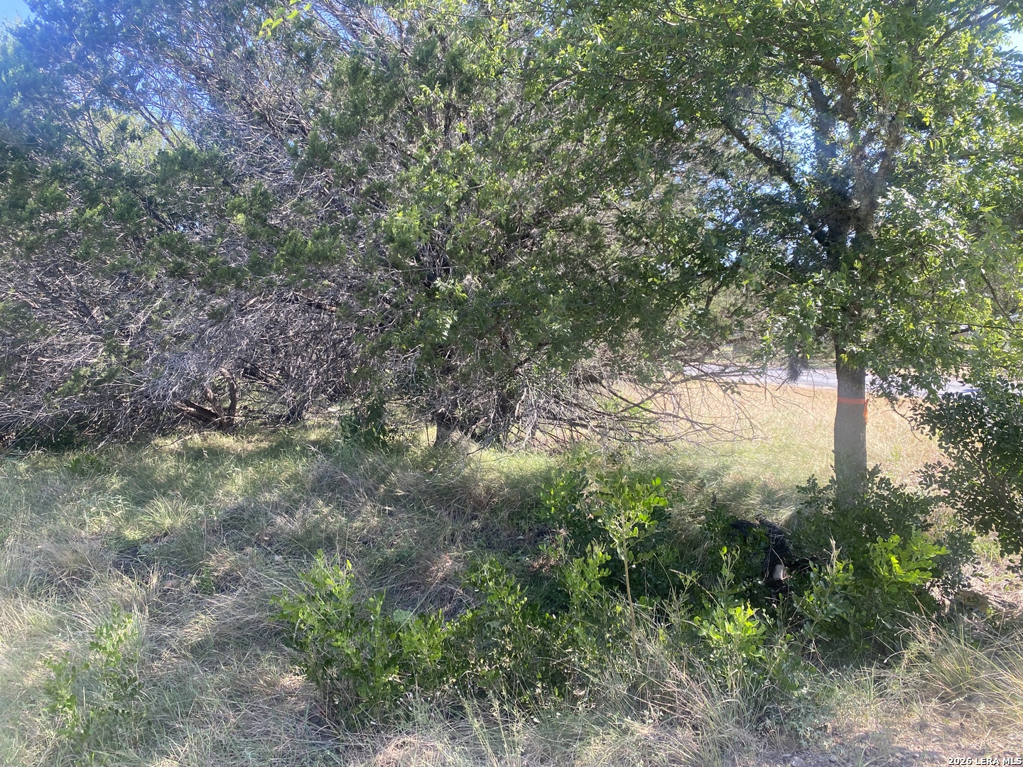 00 Jim Dalrymple Drive Leakey TX 78873