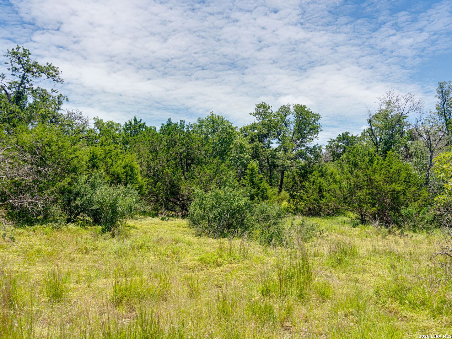 19 N Cielo Vista Court Fredericksburg TX 78624