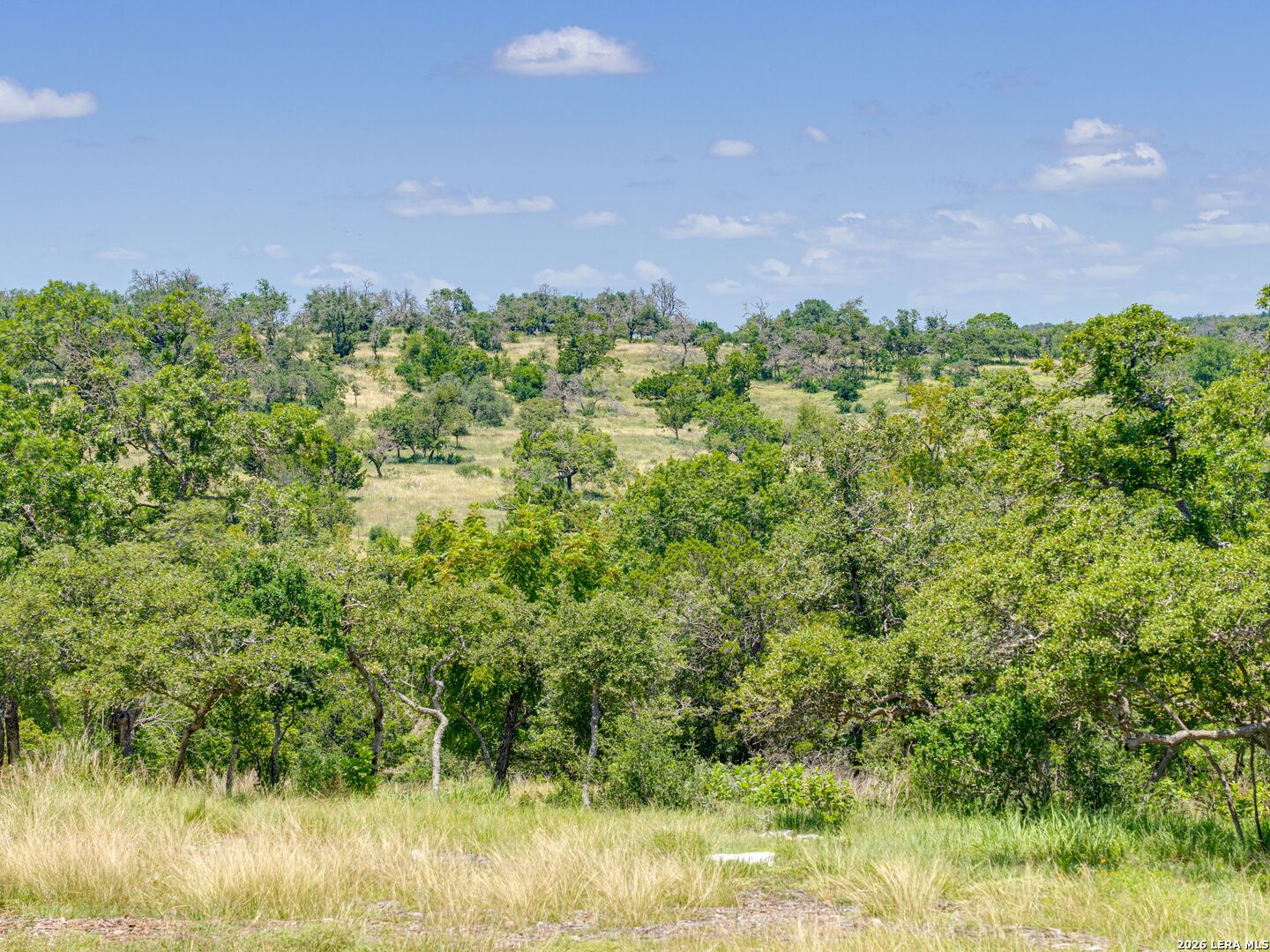 19 N Cielo Vista Court Fredericksburg TX 78624