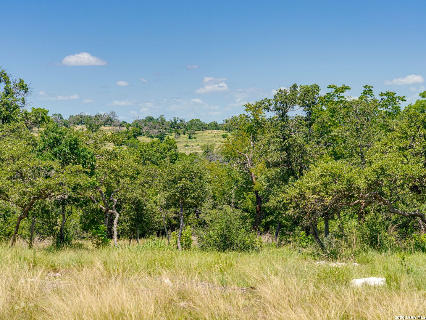 19 N Cielo Vista Court Fredericksburg TX 78624