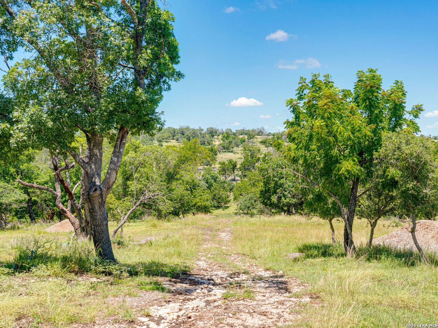 19 N Cielo Vista Court Fredericksburg TX 78624