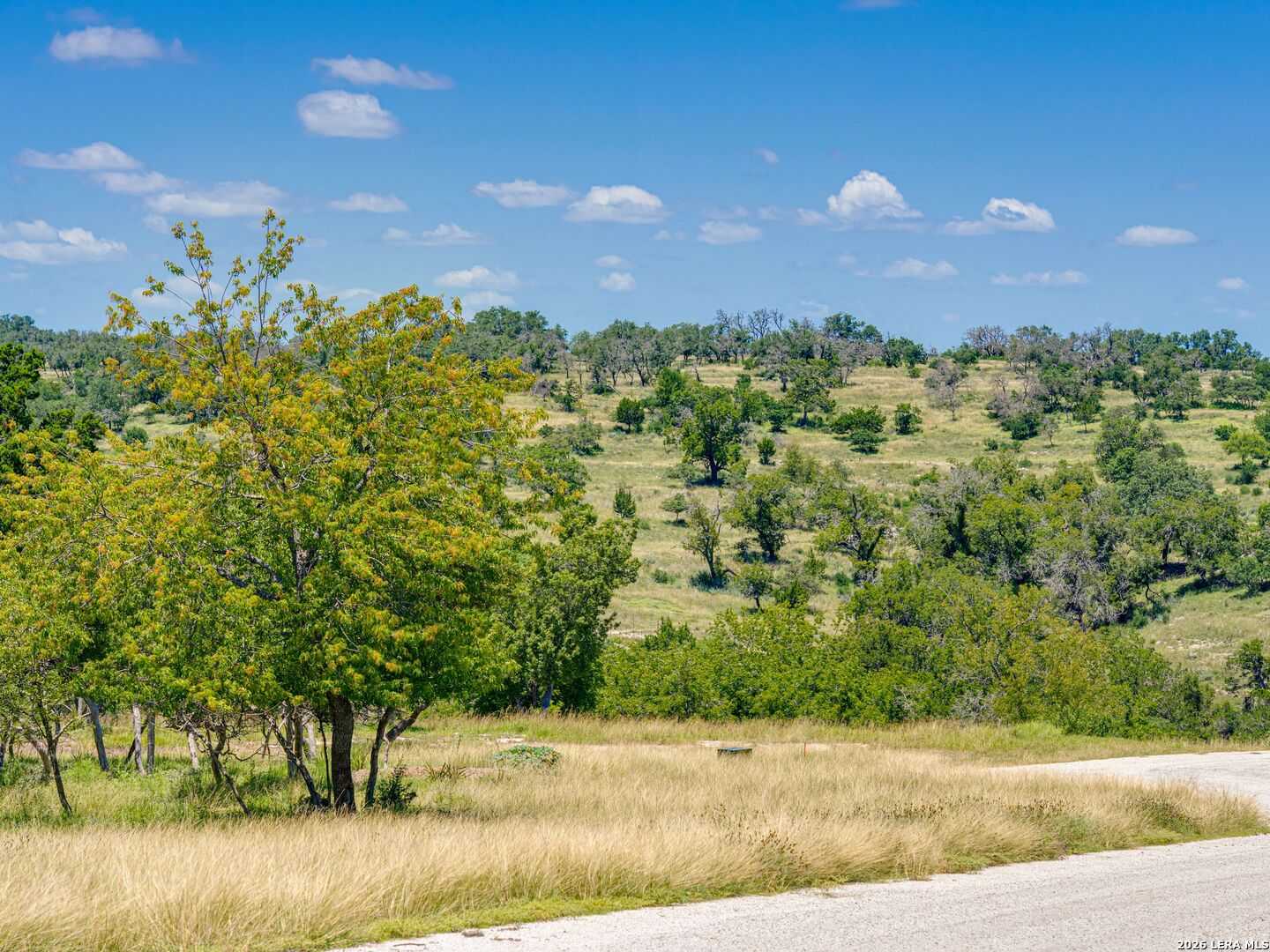 19 N Cielo Vista Court Fredericksburg TX 78624