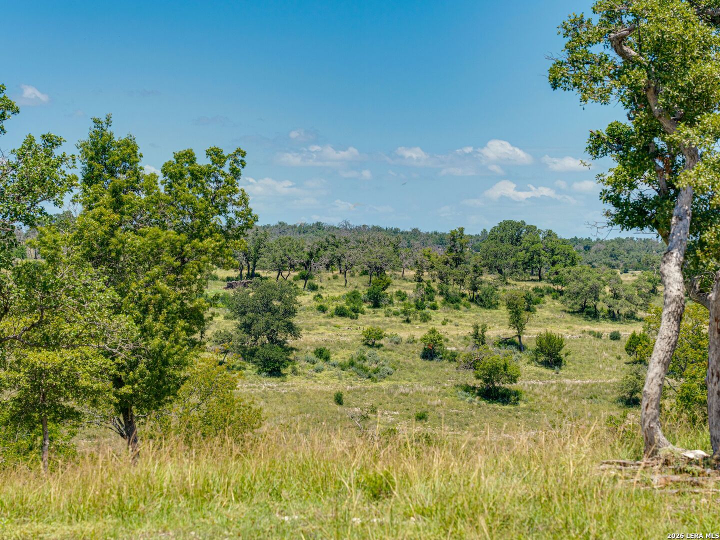 19 N Cielo Vista Court Fredericksburg TX 78624