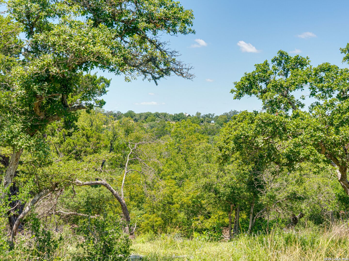 19 N Cielo Vista Court Fredericksburg TX 78624
