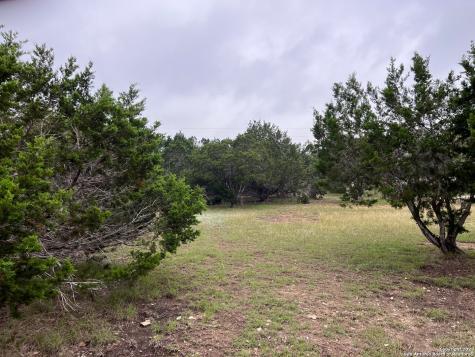 1533 Desiree Street Canyon Lake TX 78133