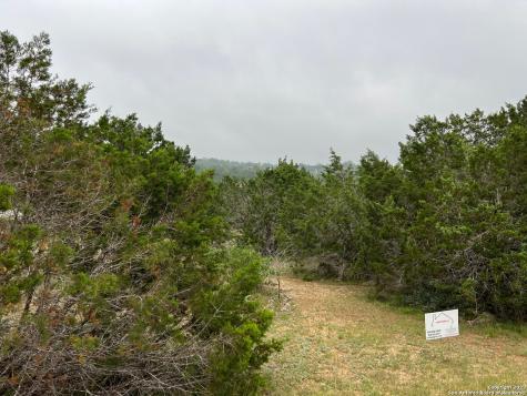1533 Desiree Street Canyon Lake TX 78133