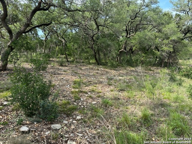 20330 Bobwhite Run San Antonio TX 78256