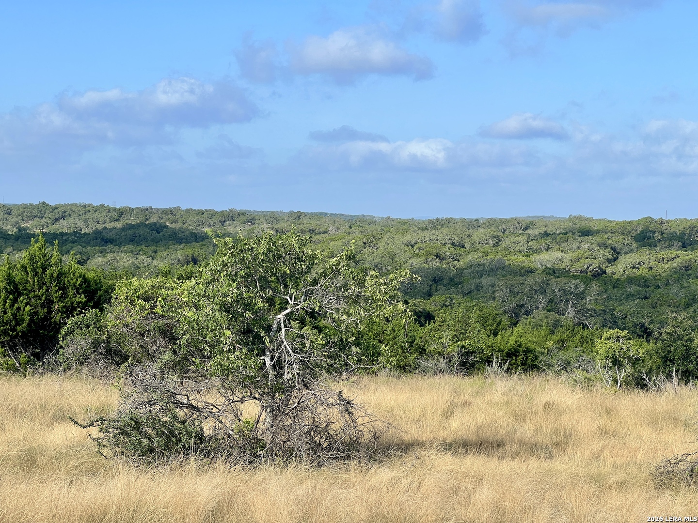 406 Plantation Path Boerne TX 78006