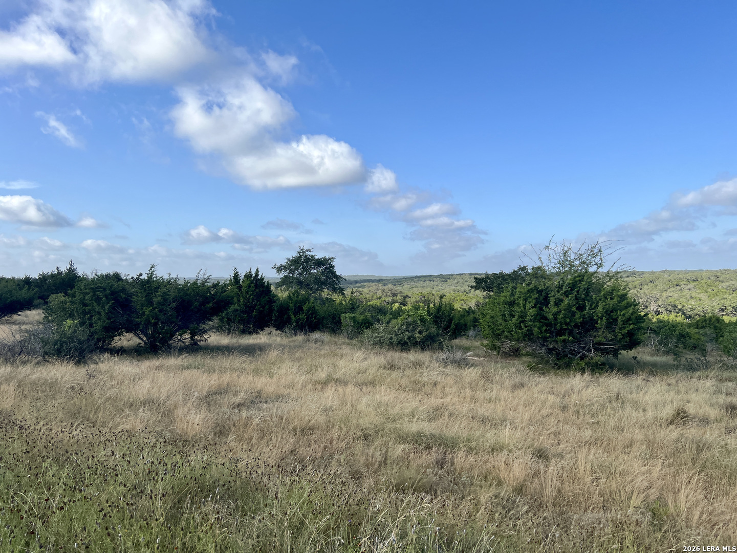 406 Plantation Path Boerne TX 78006