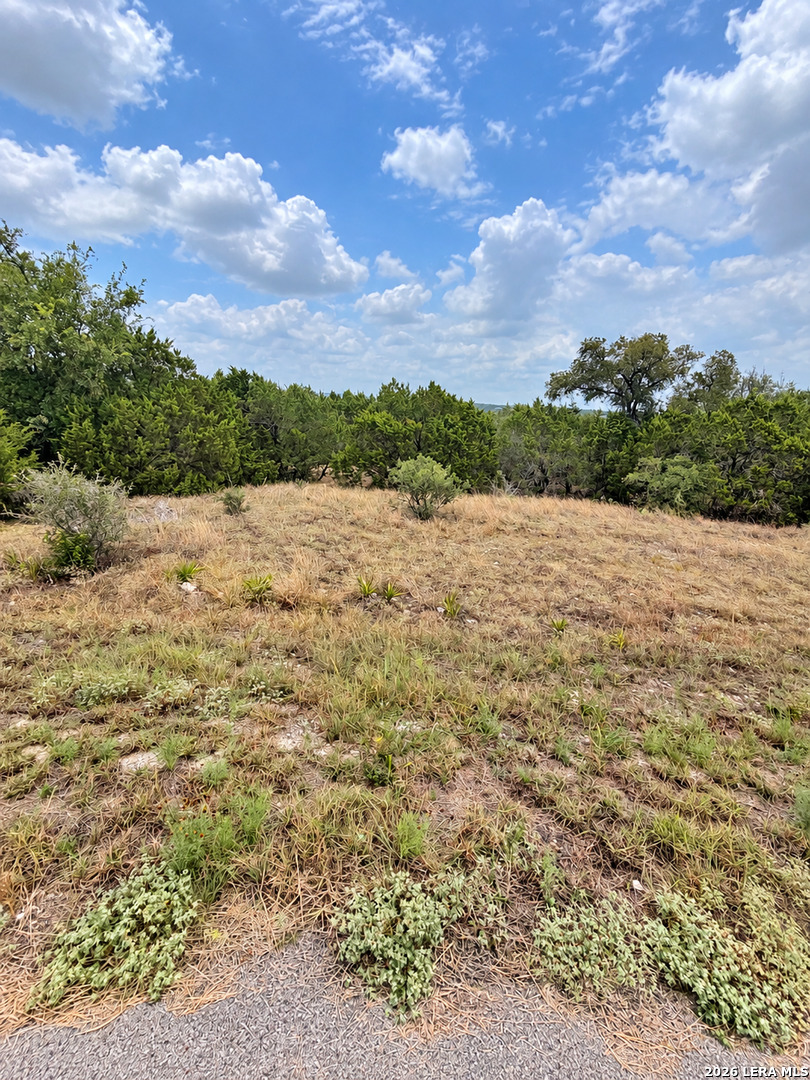 217 Bindweed Lane Spring Branch TX 78070