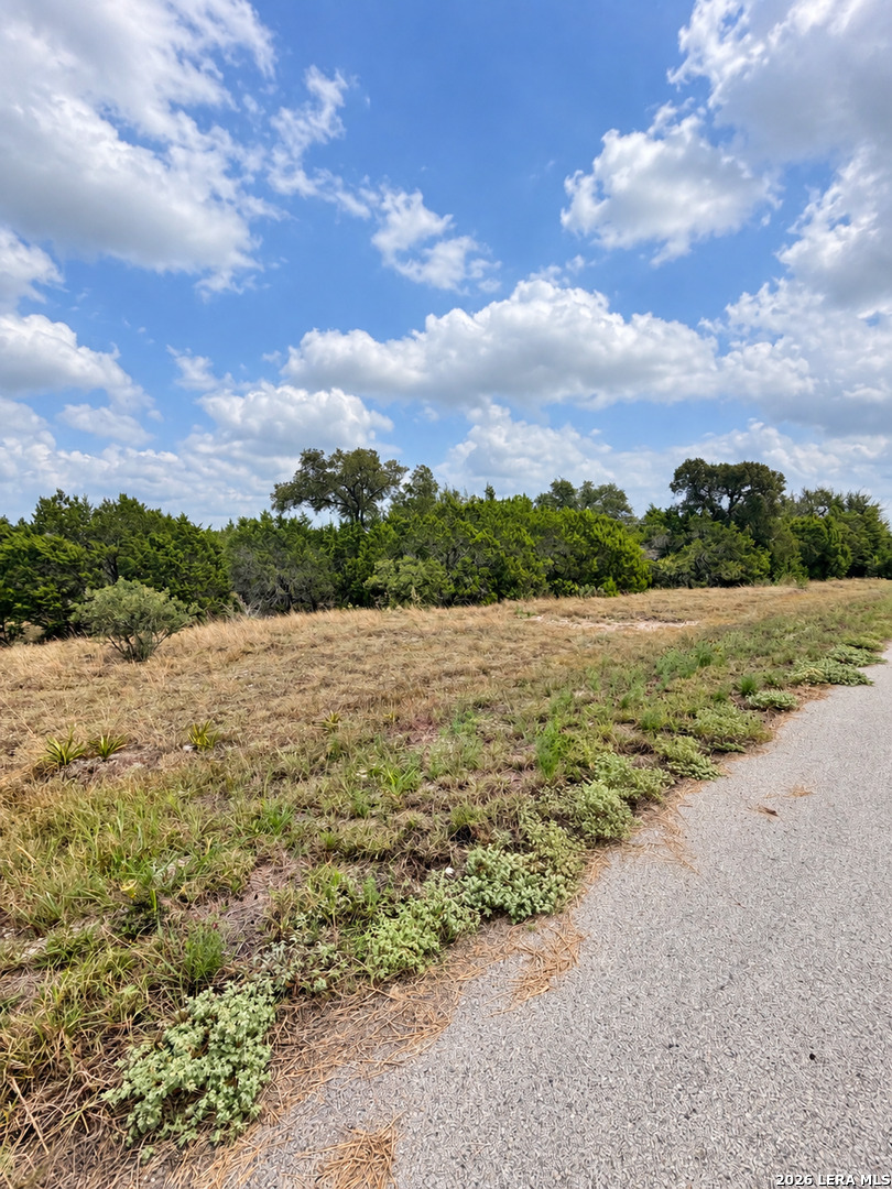 217 Bindweed Lane Spring Branch TX 78070