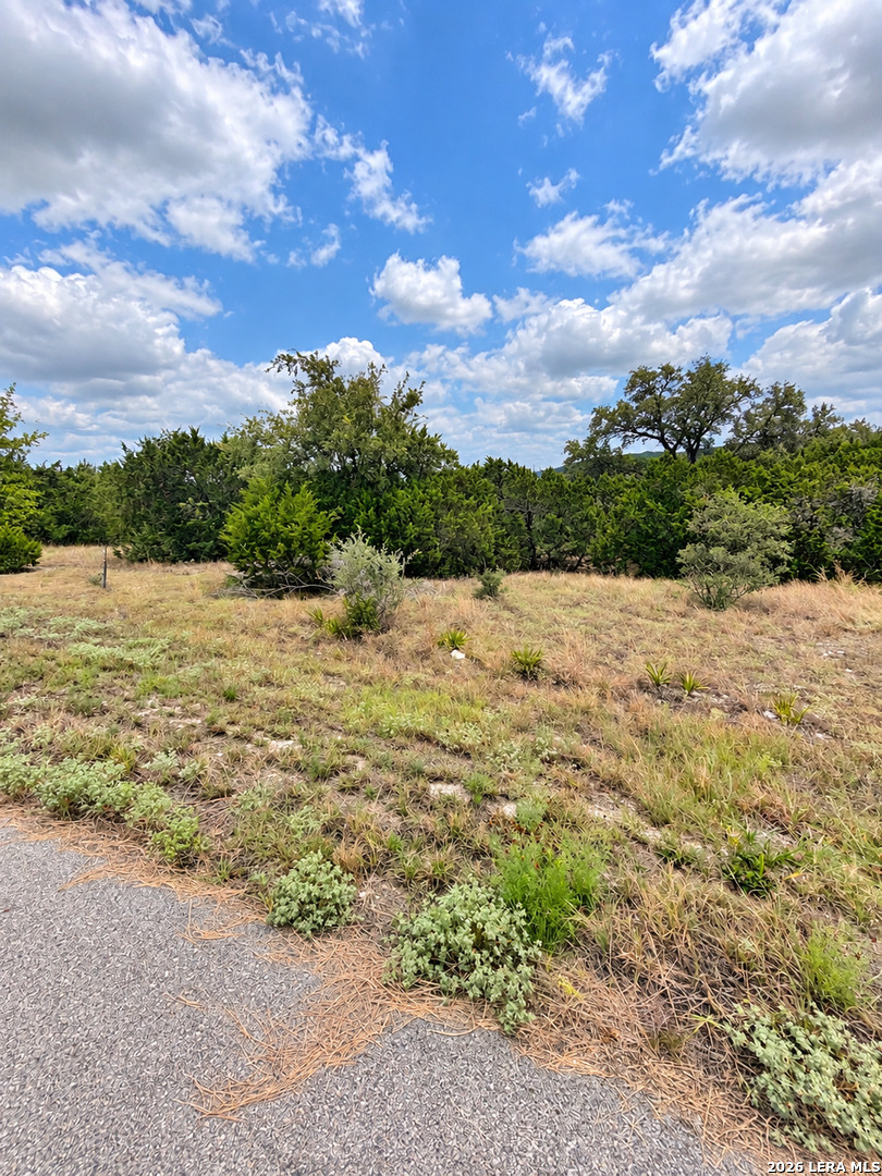 217 Bindweed Lane Spring Branch TX 78070