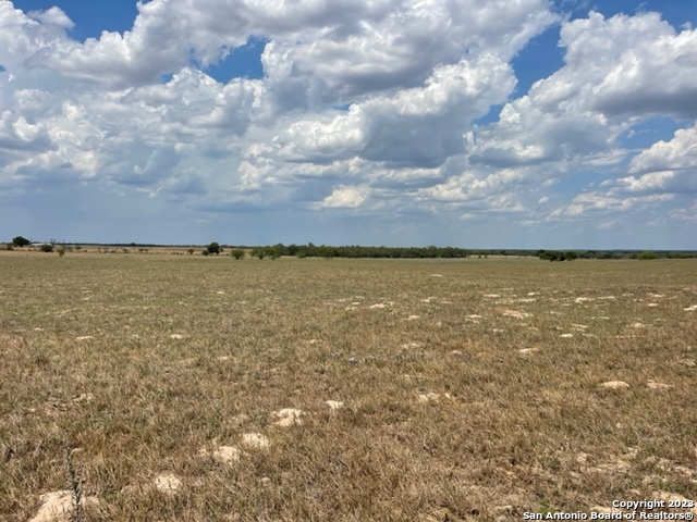 655 County Road 232 Floresville TX 78114