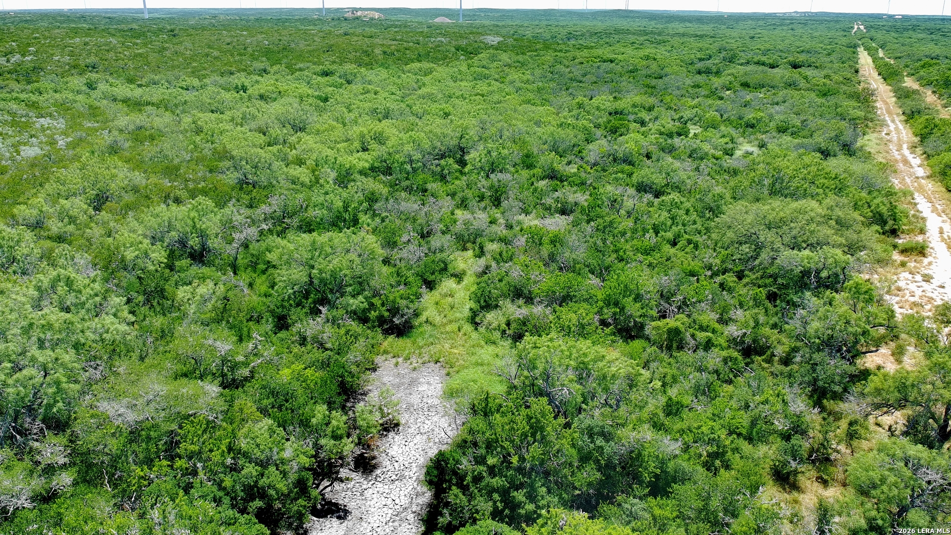 0 San Pablo Road Tract 1 (173) Bruni TX 78344