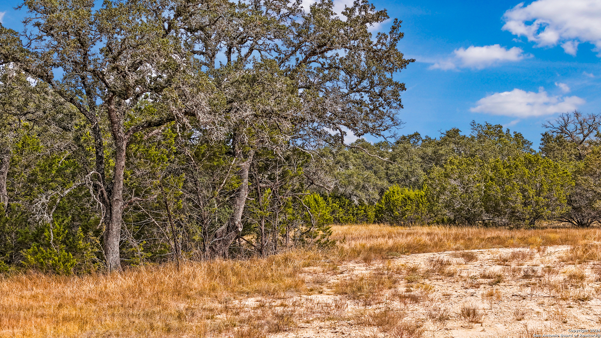 1949 Paradise Parkway Canyon Lake TX 78133