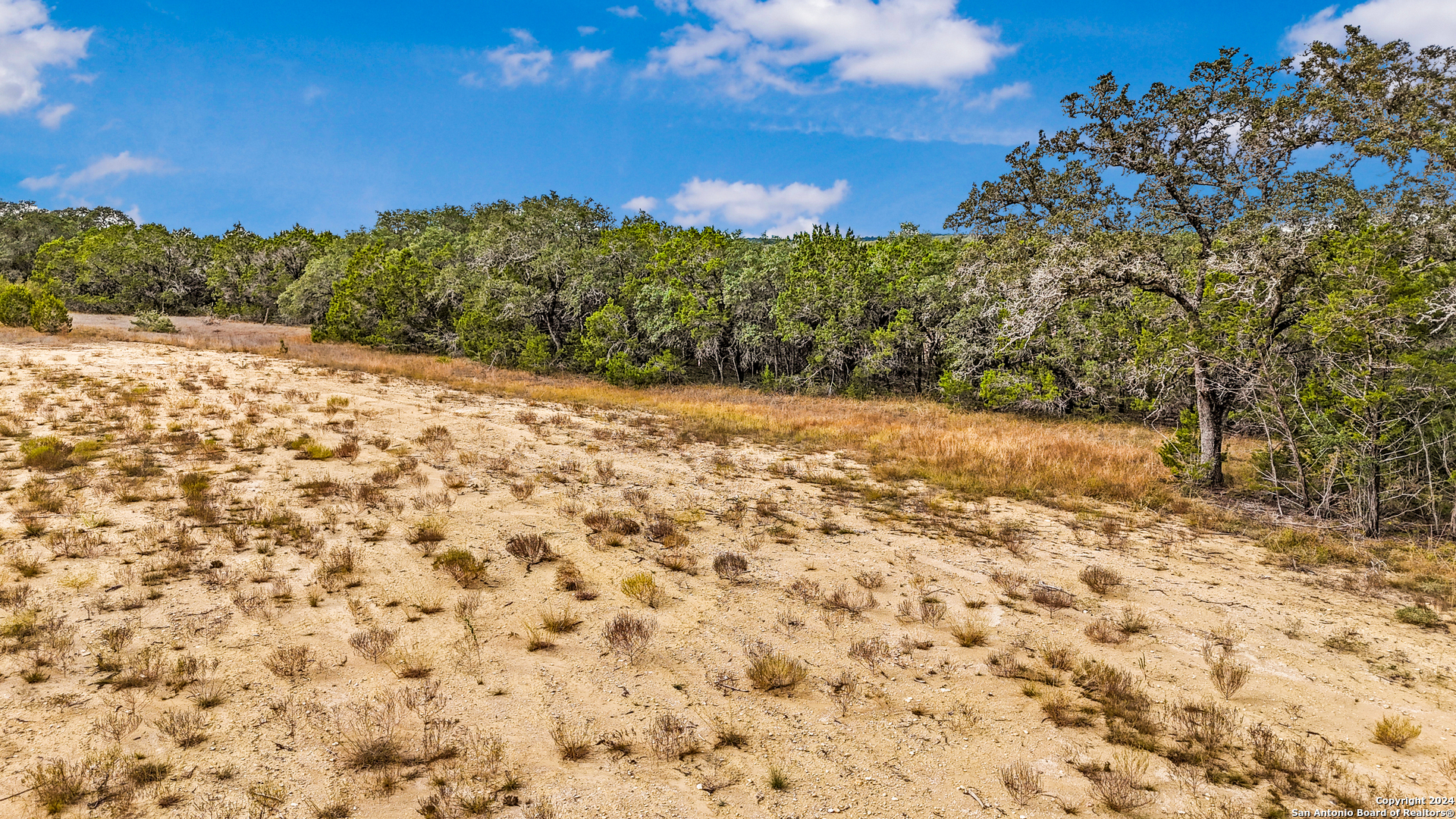 1949 Paradise Parkway Canyon Lake TX 78133