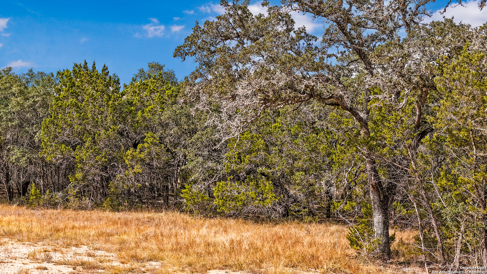 1949 Paradise Parkway Canyon Lake TX 78133