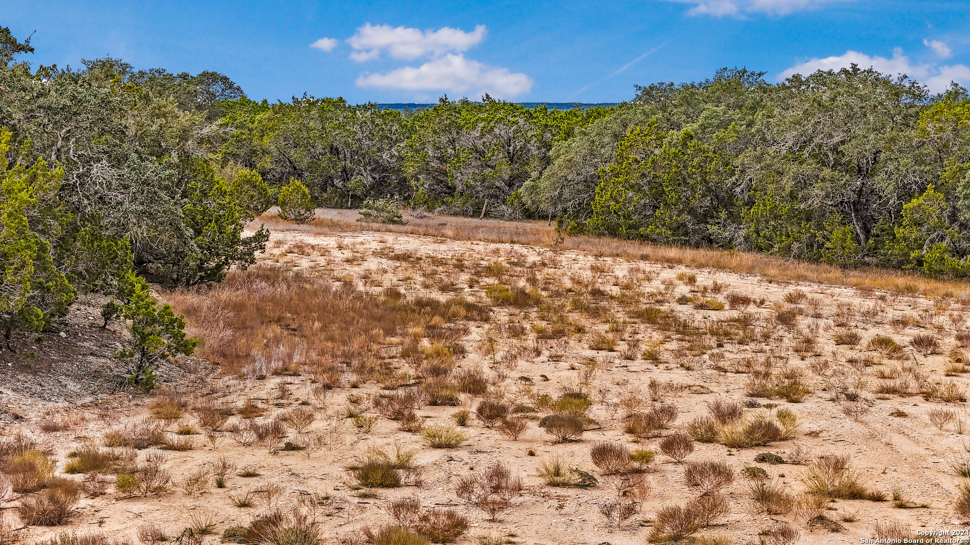 1949 Paradise Parkway Canyon Lake TX 78133