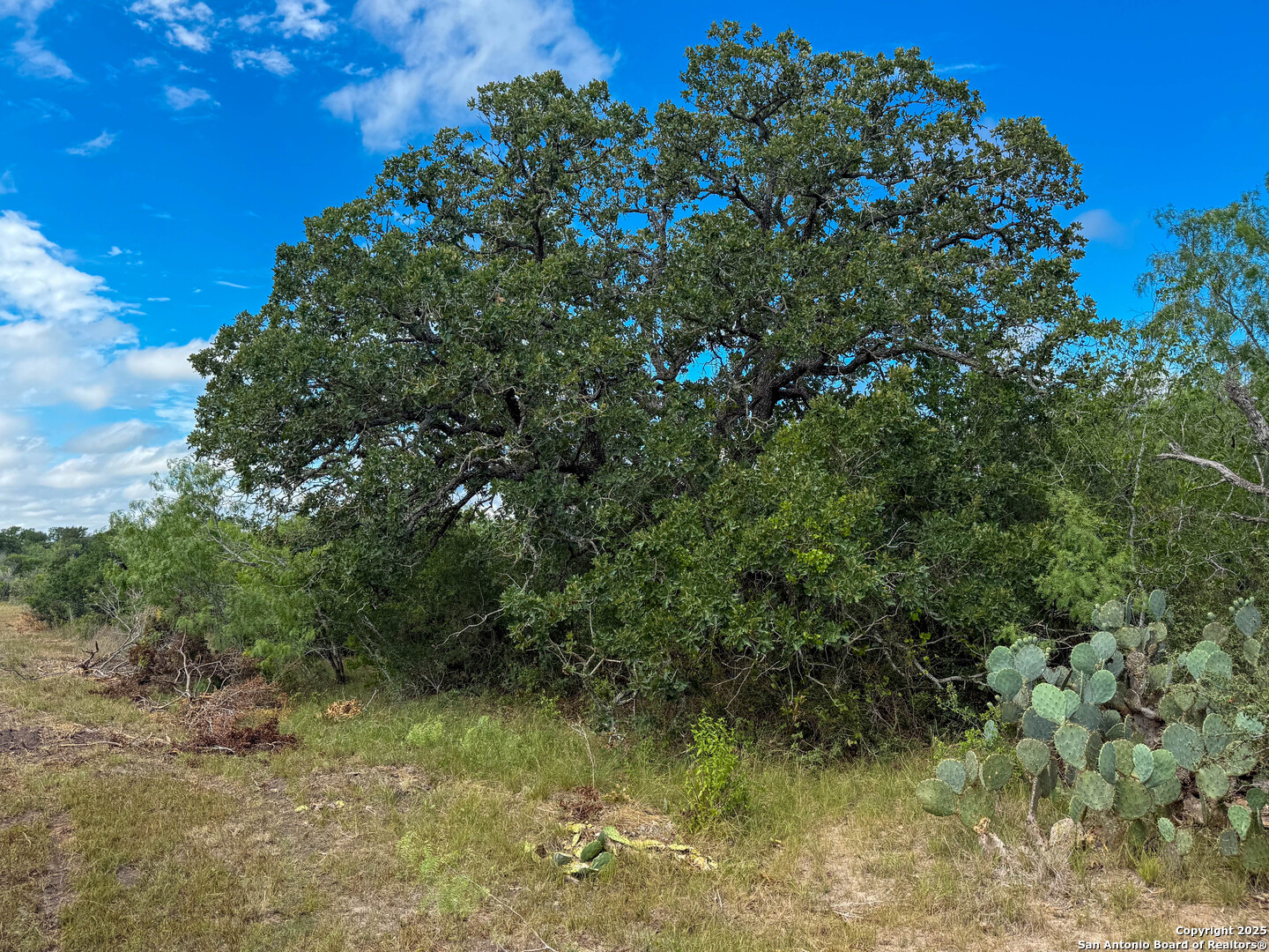 001 County Road 266 Gillett TX 78116