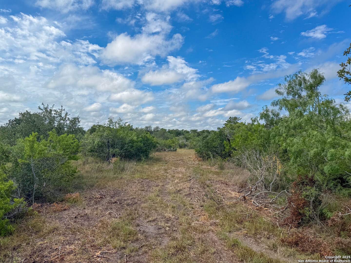 001 County Road 266 Gillett TX 78116