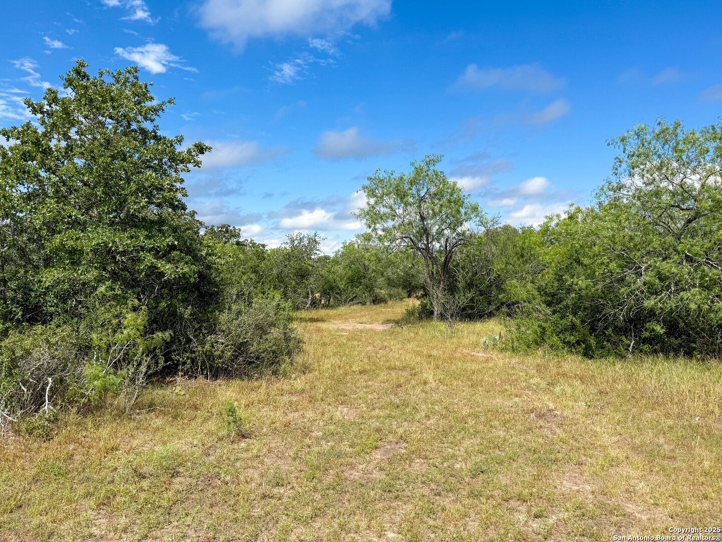 001 County Road 266 Gillett TX 78116