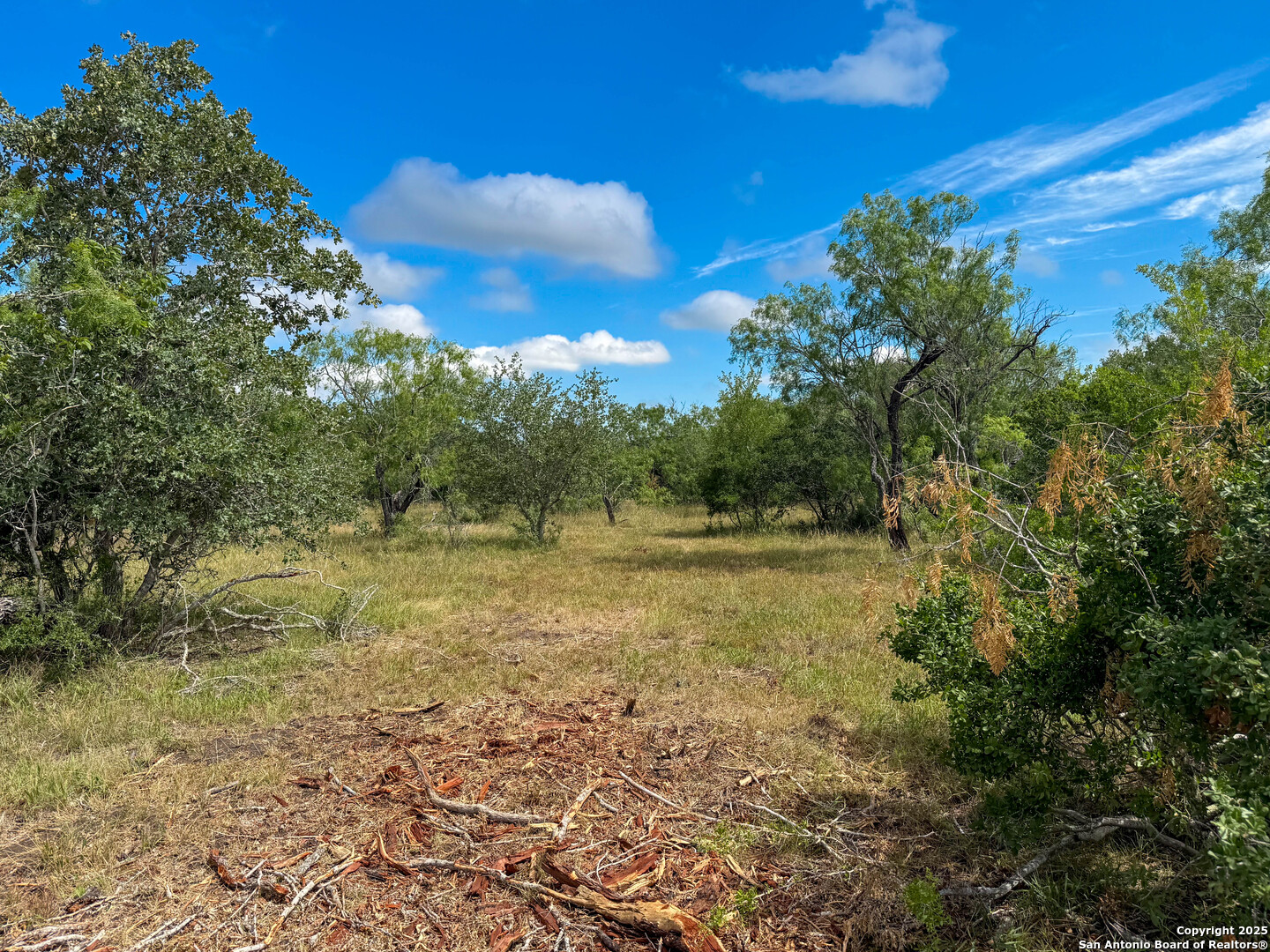 001 County Road 266 Gillett TX 78116