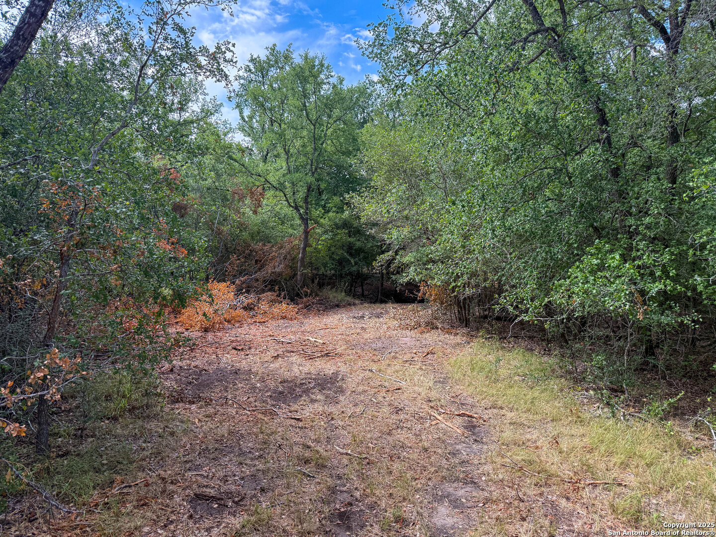 001 County Road 266 Gillett TX 78116