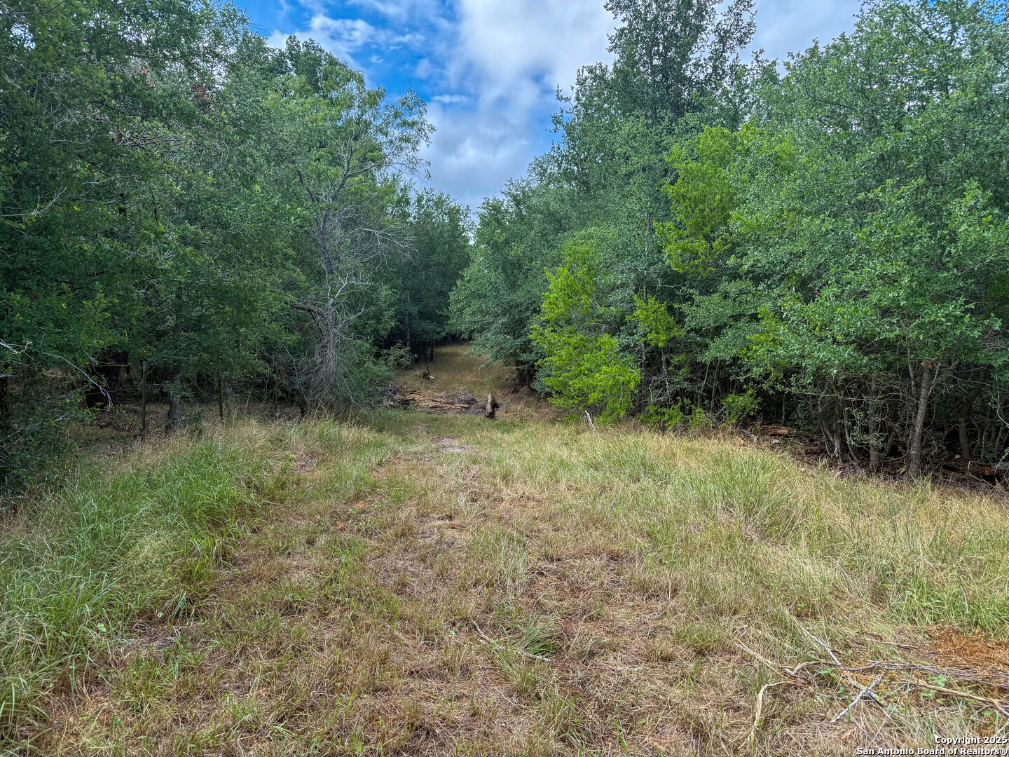 001 County Road 266 Gillett TX 78116