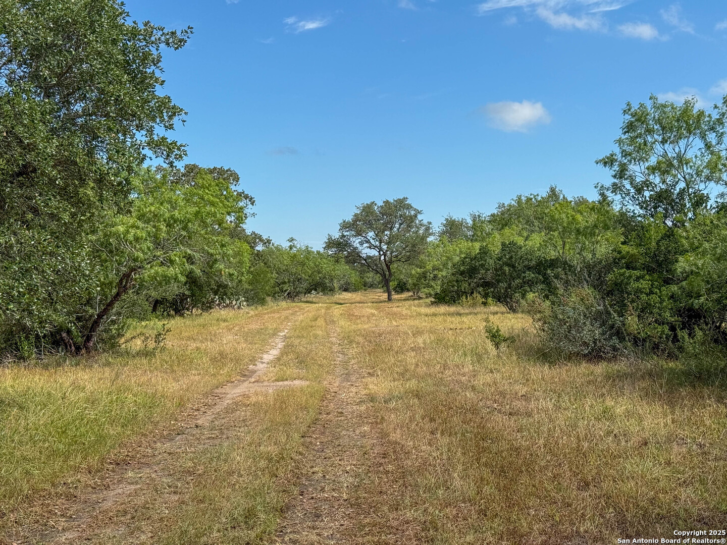 001 County Road 266 Gillett TX 78116