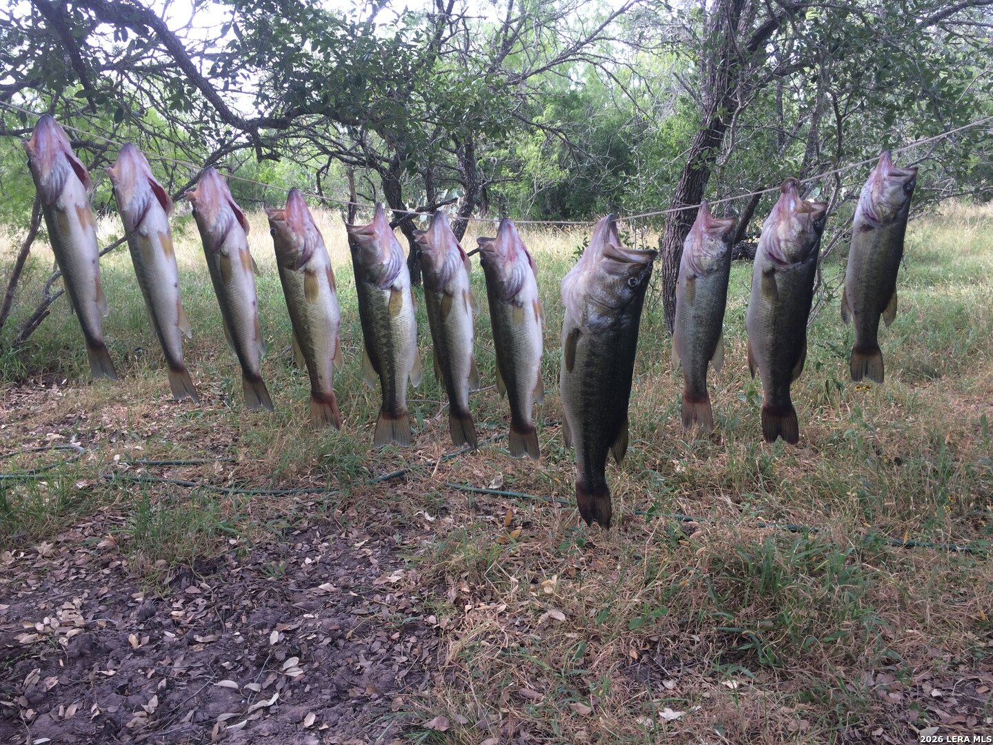 001 County Road 266 Gillett TX 78116