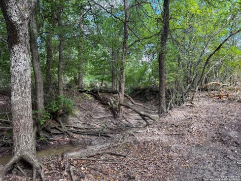 001 County Road 266 Gillett TX 78116