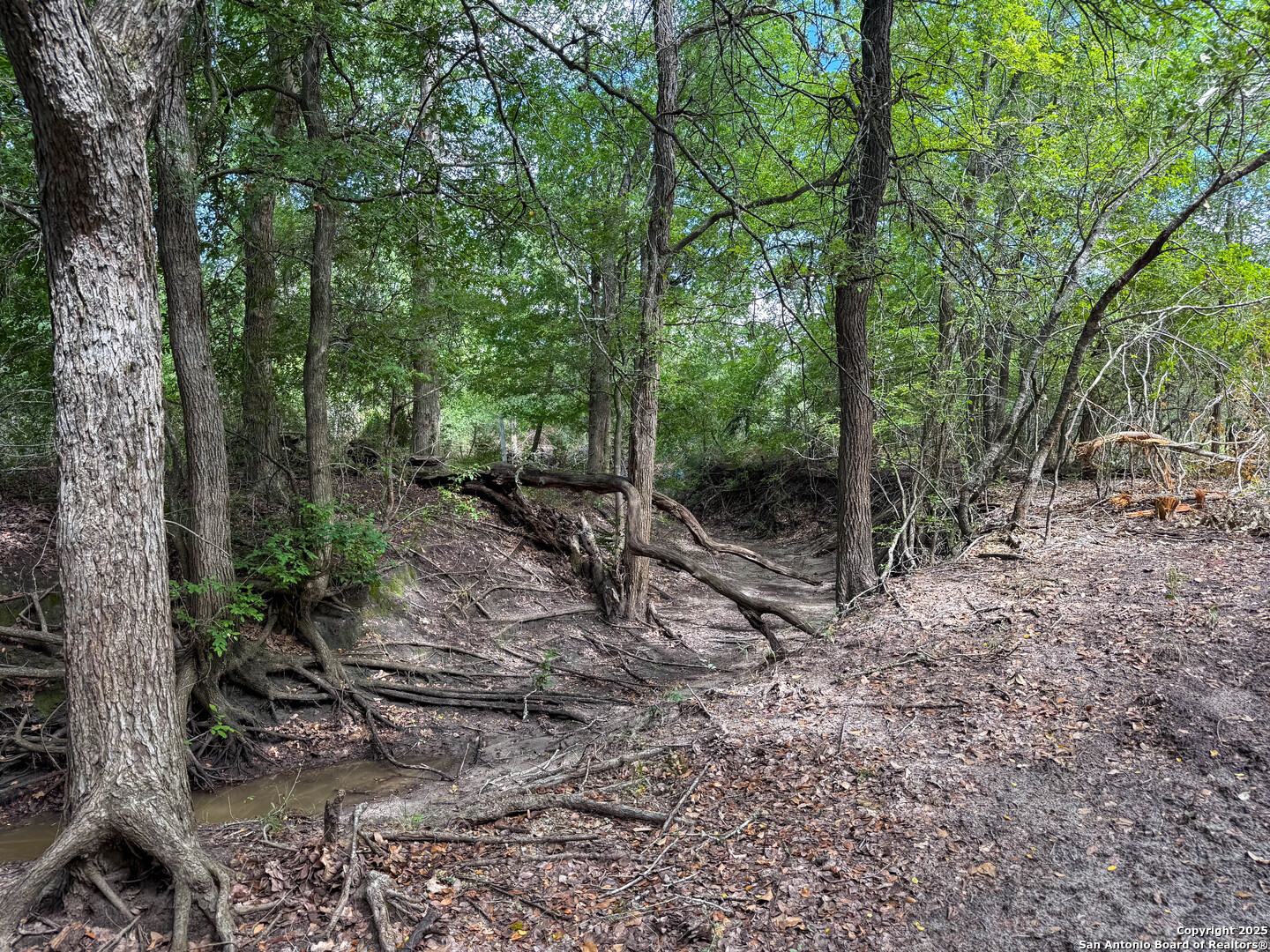 001 County Road 266 Gillett TX 78116