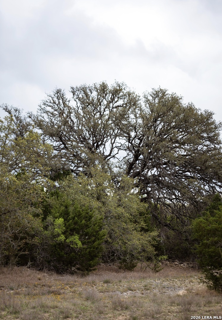 1040 Monteola Bulverde TX 78163