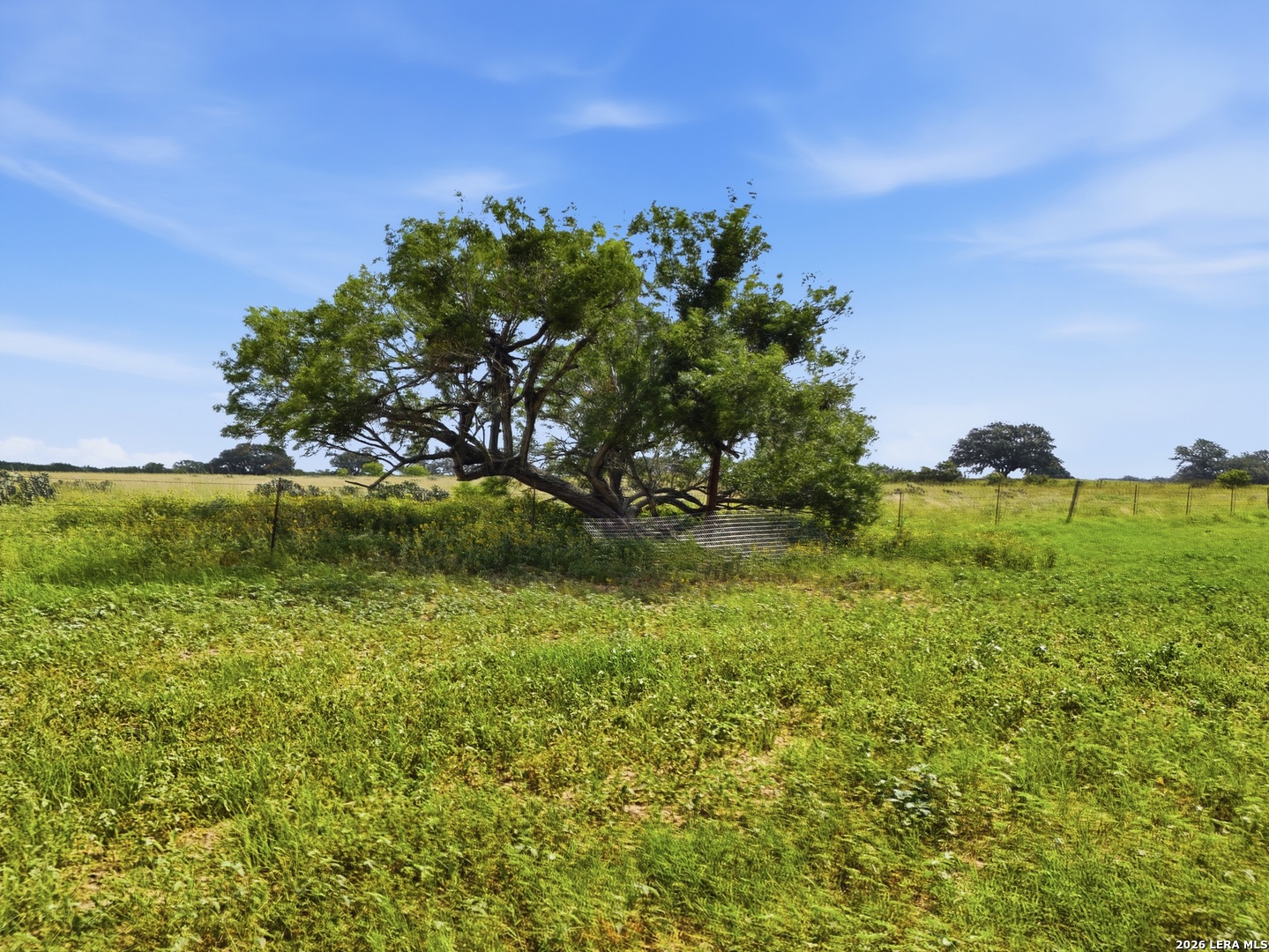 Tbd Cr 777 Devine TX 78016