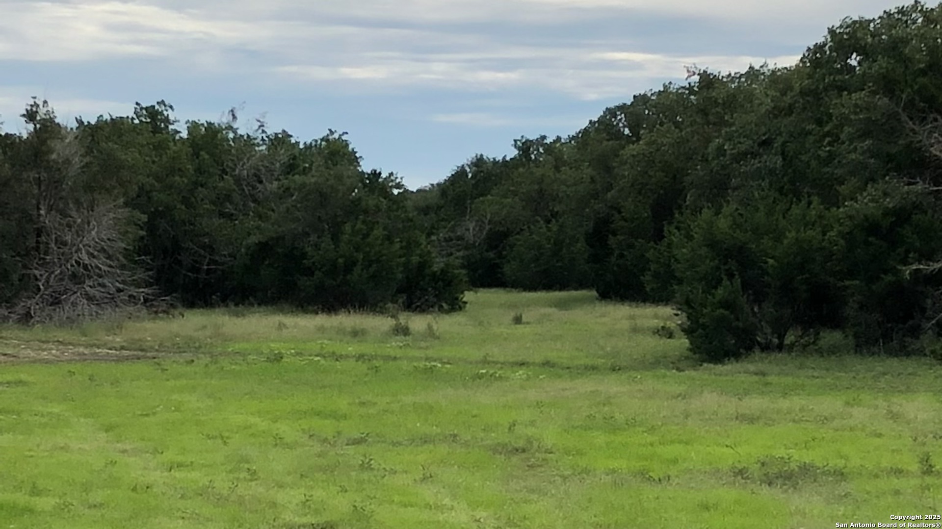 0 0 Rocksprings TX 78880