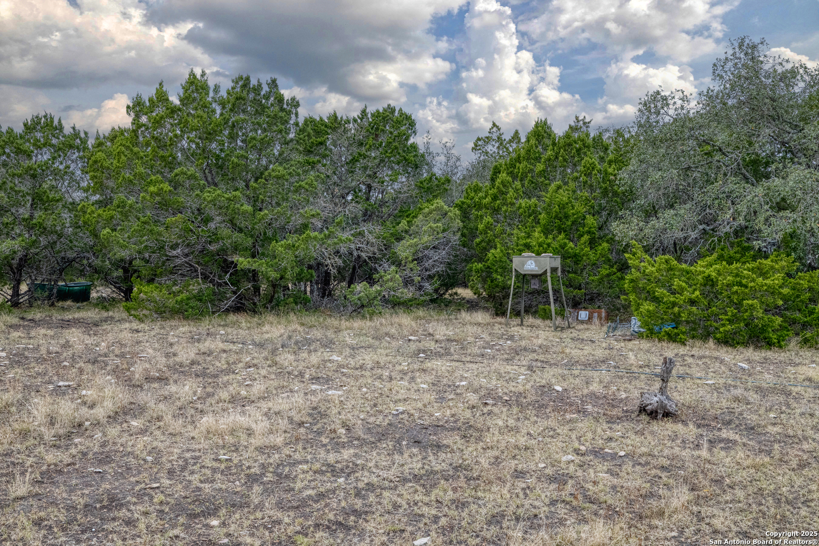0 0 Rocksprings TX 78880