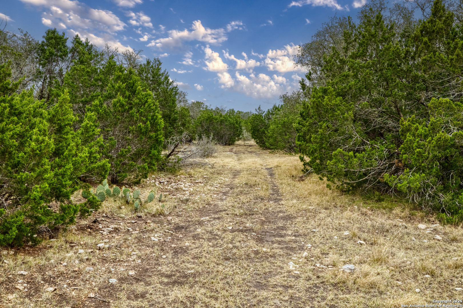 0 0 Rocksprings TX 78880