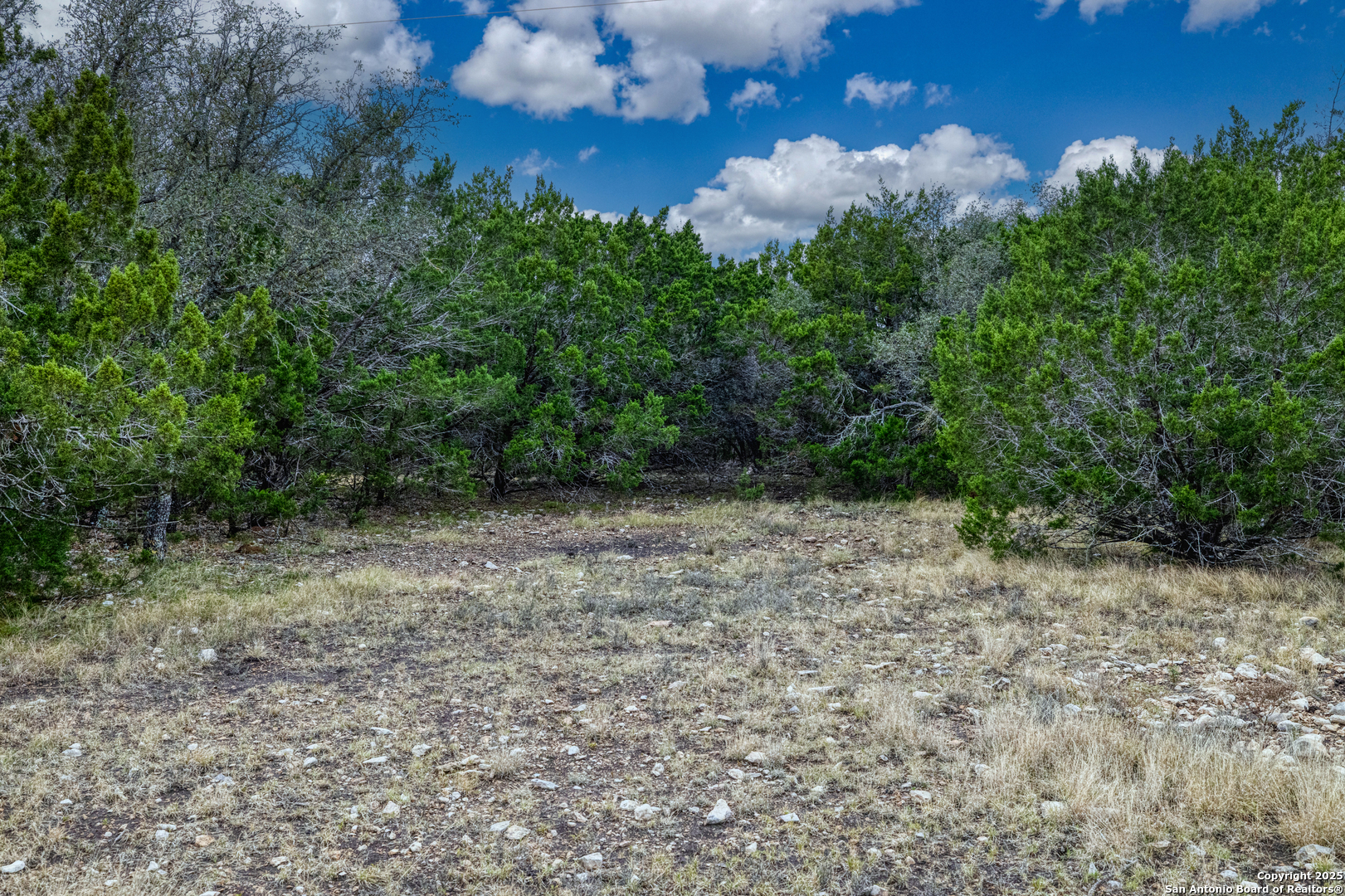 0 0 Rocksprings TX 78880