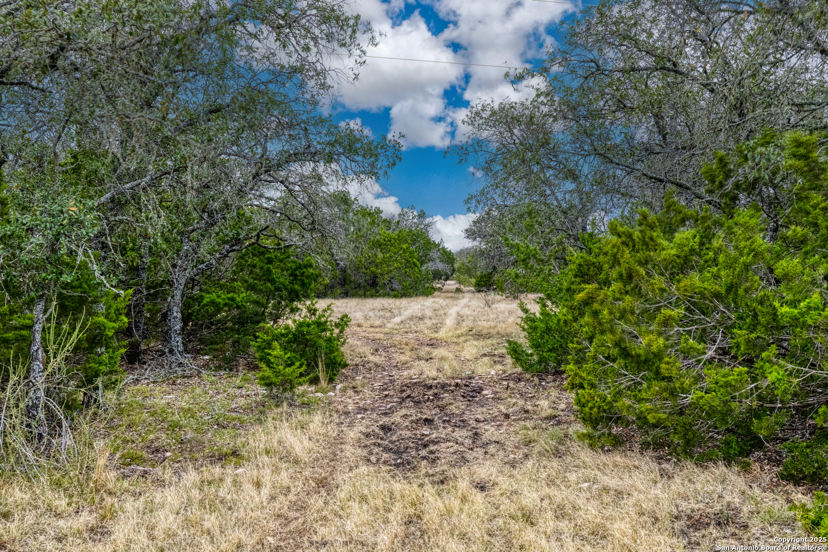 0 0 Rocksprings TX 78880